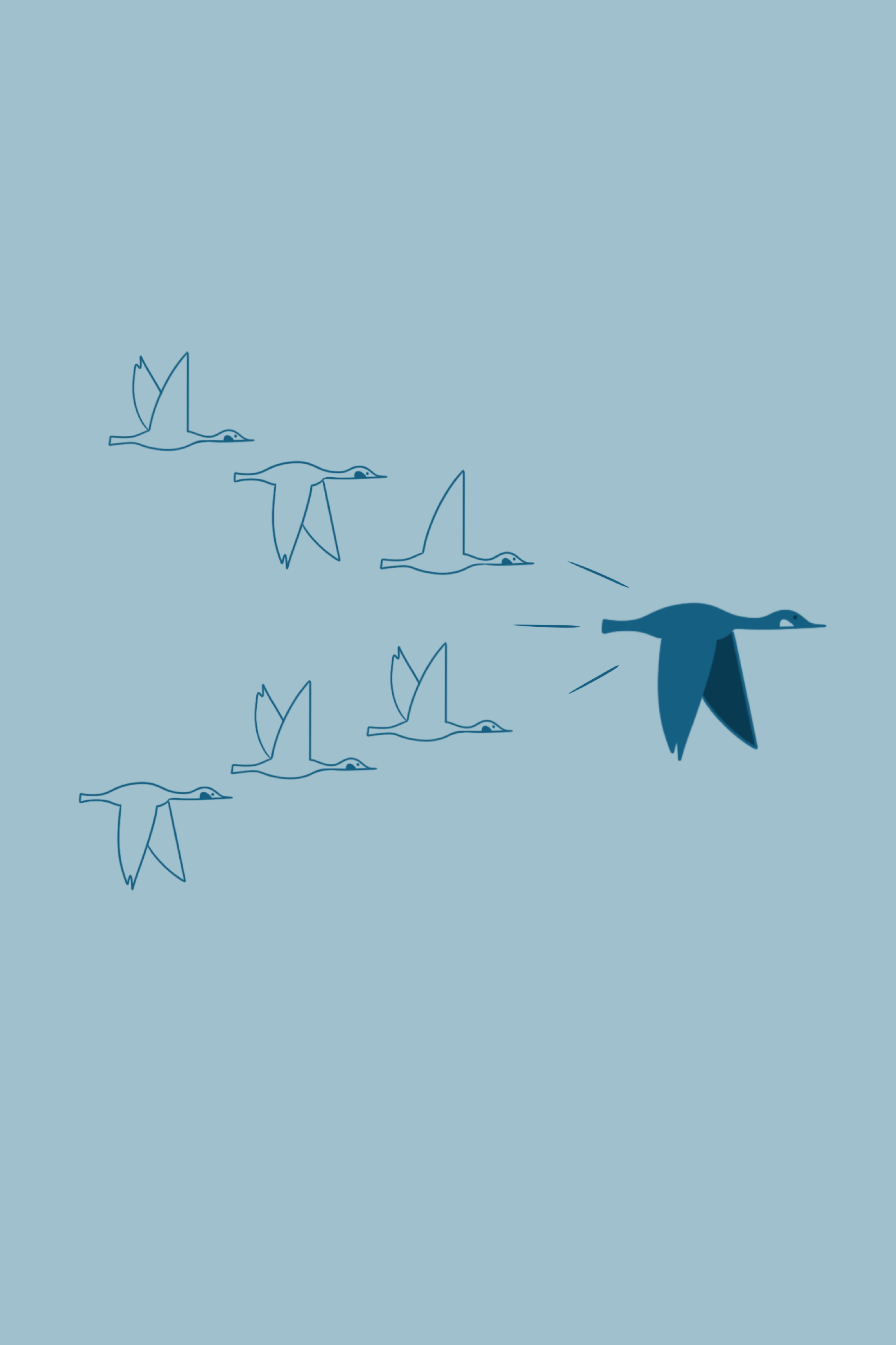 Hero Image of flying Birds
